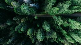 Photo by Geran de Klerk