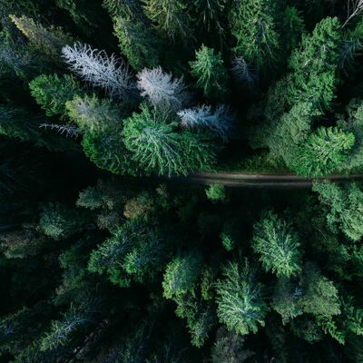 Photo by Geran de Klerk